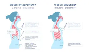 Ilustracja pokazuje dwa rodzaje wdechu: piersiowo-przeponowy i brzuszno-przeponowy. Wdech przeponowy angażuje przeponę, która obniża się, rozszerzając klatkę piersiową.