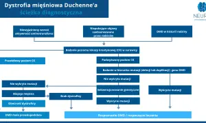 Schemat diagnostyczny dystrofii mięśniowej Duchenne'a: od objawów, przez badania CK, po analizę mutacji genu DMD.