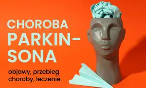 Choroba Parkinsona: objawy, przebieg, leczenie. Szara głowa z papierowym samolotem i miętową kulką w środku symbolizuje myśli o chorobie.
