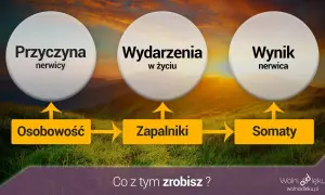Schemat wyjaśniający powstawanie nerwicy lękowej: osobowość, zapalniki i somaty prowadzą do wydarzeń w życiu, a następnie do wyniku, jakim jest nerwica.