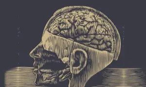 Stylizowany profil głowy z widocznym mózgiem. Ilustracja nawiązuje do tematu lobotomii, pytając "lobotomia co to?".