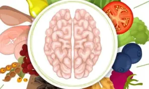 Mózg otoczony przez zdrowe produkty: jagody, pomidor, brokuły, fasolę, mięso. To ilustracja diety mind.