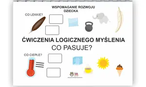 Zadania na logiczne myślenie dla dorosłych: dopasuj piórko do pustego pola, a termometr do drugiego. Obok są inne obrazki do dopasowania.