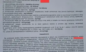 Orzeczenie o niepełnosprawności, wskazania dotyczące zatrudnienia i terapii, uzasadnienie stopnia niepełnosprawności.