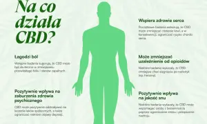 Grafika przedstawia sylwetkę człowieka i opisuje pozytywne działanie CBD: łagodzi ból, wspiera serce, może zmniejszać uzależnienia, wpływa na zdrowie psychiczne i jakość snu.