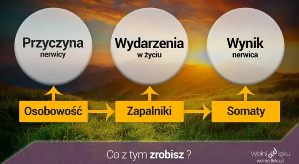 Schemat wyjaśniający powstawanie nerwicy lękowej: osobowość, zapalniki i somaty prowadzą do wydarzeń w życiu, a następnie do wyniku, jakim jest nerwica.