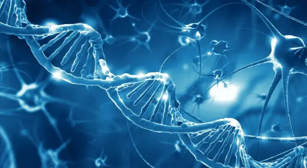 Błękitna, świecąca helisa DNA i neurony. Obraz symbolizuje badania nad chorobą Taya Sachsa i jej genetycznymi przyczynami.