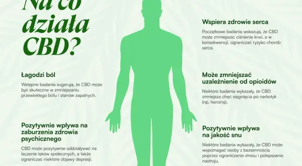 Grafika przedstawia sylwetkę człowieka i opisuje pozytywne działanie CBD: łagodzi ból, wspiera serce, może zmniejszać uzależnienia, wpływa na zdrowie psychiczne i jakość snu.