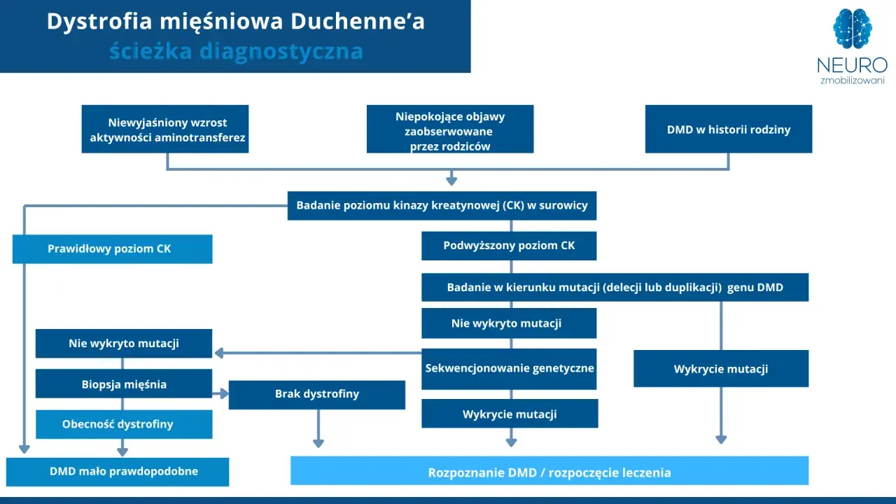 Schemat diagnostyczny dystrofii mięśniowej Duchenne'a: od objawów, przez badania CK, po analizę mutacji genu DMD.