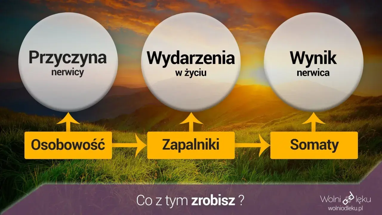 Schemat wyjaśniający powstawanie nerwicy lękowej: osobowość, zapalniki i somaty prowadzą do wydarzeń w życiu, a następnie do wyniku, jakim jest nerwica.