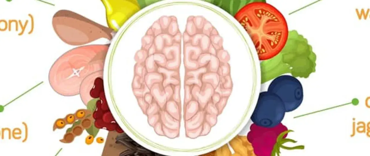 Mózg otoczony przez zdrowe produkty: jagody, pomidor, brokuły, fasolę, mięso. To ilustracja diety mind.