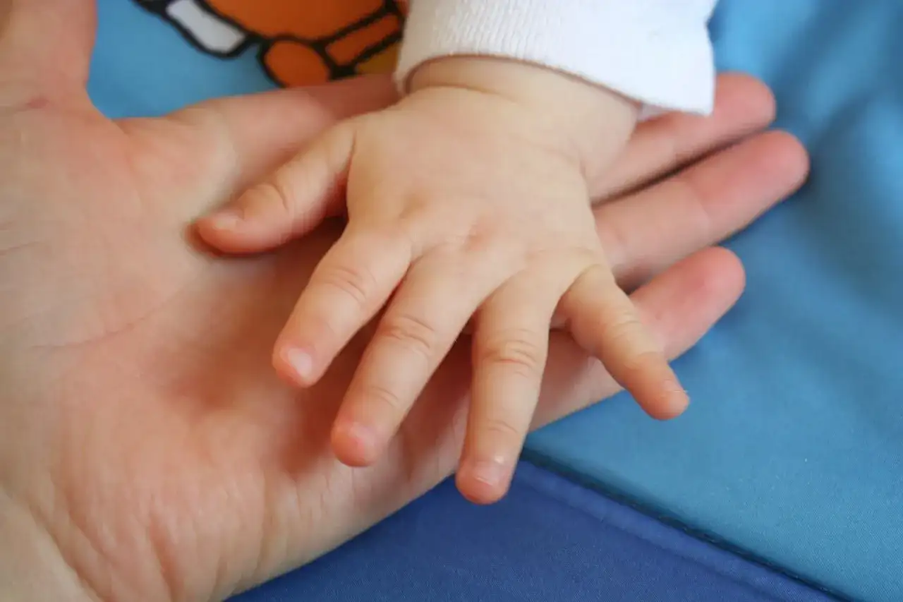 Dłoń dziecka spoczywa na dłoni dorosłego. To jak specjalny program, który łączy pokolenia.