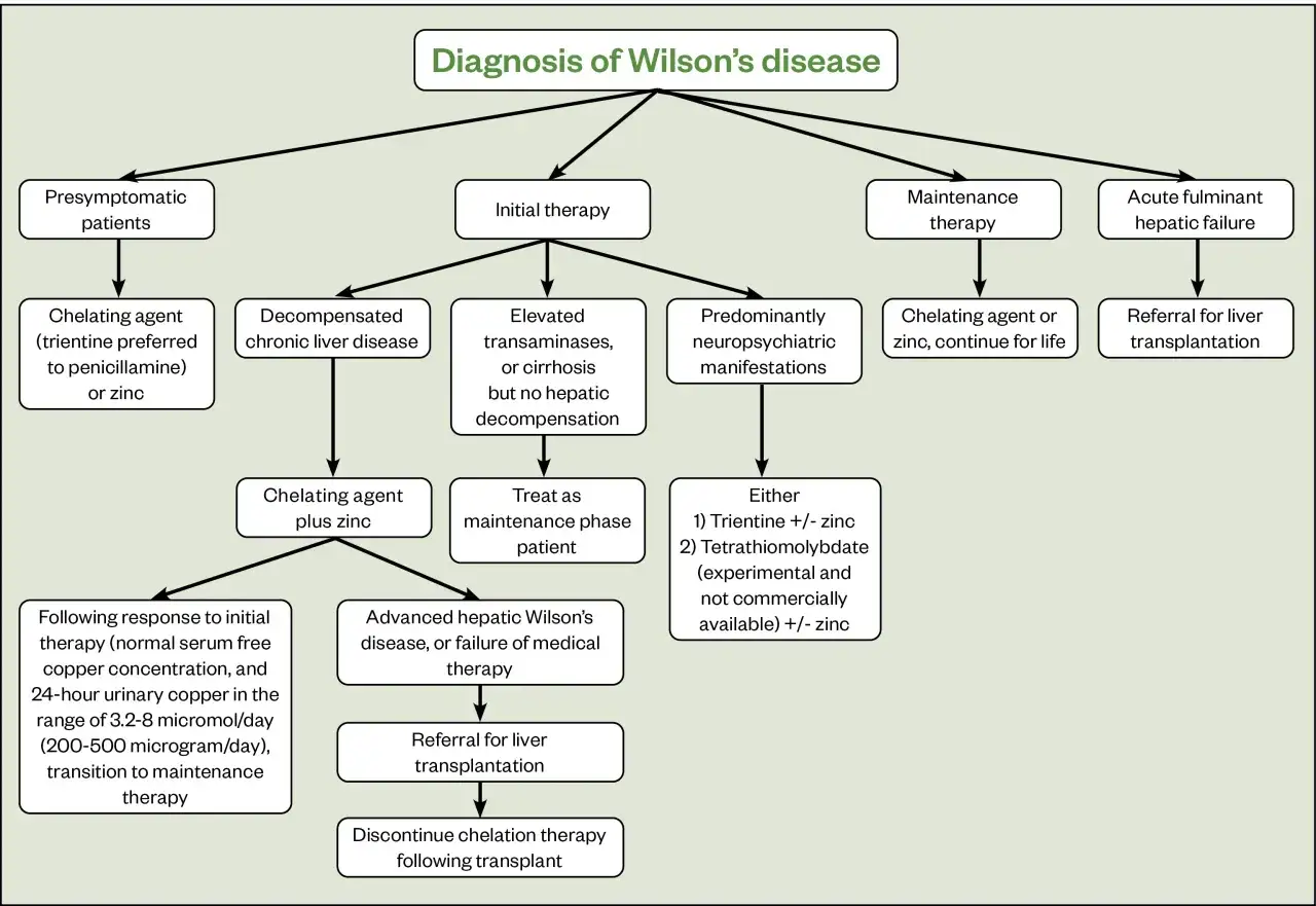 Schemat diagnostyki i leczenia choroby Wilsona, obejmujący różne stadia i terapie, w tym leki chelatujące i przeszczep wątroby.