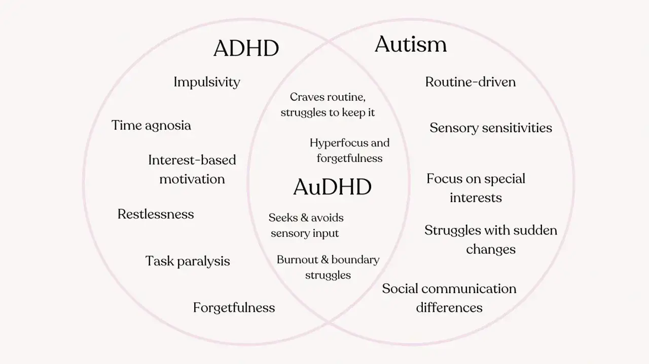 Diagram porównujący cechy ADHD i autyzmu, z obszarem wspólnym AuDHD. Pokazuje, jak te stany mogą się nakładać.