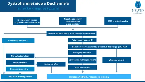 Schemat diagnostyczny dystrofii mięśniowej Duchenne'a: od objawów, przez badania CK, po analizę mutacji genu DMD.