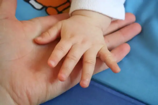 Dłoń dziecka spoczywa na dłoni dorosłego. To jak specjalny program, który łączy pokolenia.